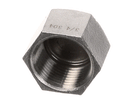 ALTO-SHAAM CP-28016 HEX CAP 3/4-IN NPT ASF-75 G&E