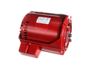ARMSTRONG FLUID TECHNOLOGY 817025-005 MTR 1/6HP REPLACES B&G 111061