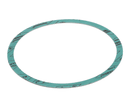 ARMSTRONG FLUID TECHNOLOGY 8426401-002 GASKET-CASING F-NITRILE 6