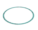 ARMSTRONG FLUID TECHNOLOGY 8426401-003 GASKET-CASING F-NITRILE 8