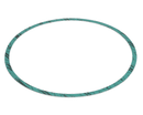 ARMSTRONG FLUID TECHNOLOGY 8426401-004 GASKET-CASING F-NITRILE 10