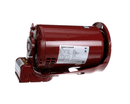 BELL AND GOSSETT 169231 3/4HP 1750RPM 3-PHASE MOTOR