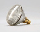BKI FL0003 LAMP FLOOD 120W PAR38 240/250
