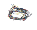 BLODGETT 24930 HARNESS WIRING SSD