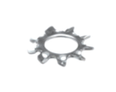 BUNN 01521.0000 WASHER FLAT-.149IDX.375OD-SST