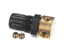 BUNN 53762.0000 REGULATOR; WATER 0-125 PSIG BRASS