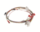 BUNN 53930.0000 WIRING HARNESS; MAIN-LOW VOLTAGE-CBDSPCT