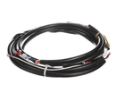 CHAMPION 0507577 HARNESS SW600 M5