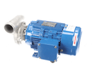 CHAMPION 116520 PUMP MOTOR ASSEMBLY 1HP MV/3 MP FW2520L