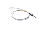 CHAMPION 117454 RTD TEMP SENSOR; 1IN PROBE