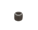 CLEVELAND 109412 PLUG; PIPE; 1/4-18NPT; .250 SO