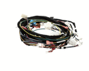 CLEVELAND 5256874 WIRING LOOM X23 BOILER INCL.
