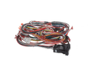 CLEVELAND KE604650 WIRING HARNESS; POWER 24CGA10