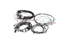 CONVOTHERM 5265392 WIRING LOOM X22 X23 X26 X40 GAS BOILER W