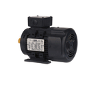 CARPIGIANI IC551711040 MOTOR LEESON C80T17FZ2C 208230