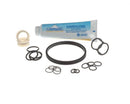 CARPIGIANI ICA5555800 TUNE UP KIT MINOR-UF203/253G