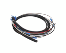 CROWN STEAM 4204-81 WIRE HARNESS - FOR GCTS-16