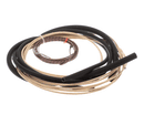 CROWN STEAM 5697-1 HIGH LIMIT AND THERMOCOUPLE