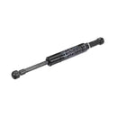 DUKE 224319 GAS RAM 86 800N