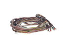 ELECTROLUX PROFESSIONAL 0CK9CR WIRING HARNESS