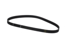 ELECTROLUX PROFESSIONAL 0D1669 BELT