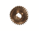 EURODIB NM20A-21 WORM WHEEL