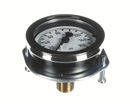EVERPURE 530-20018 PG - 2-INCH - 160PSI - 1/4MPT CBM PNL