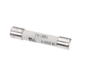 FLEXESERVE 30049555 SIBA T10AH500V 70-065-65 10A FUSE