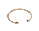 GLOBE X20214 LOWER HEAD - SNAP RING 2-IN