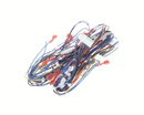 CECILWARE A550-277 HARNESS PB-430 MAIN LOW VOLT