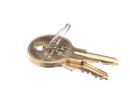 GRINDMASTER V288AL KEYS (2 PER RING) FOR CAM LOCK