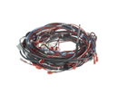 HELMER 401960-1 DC POWER HARNESS