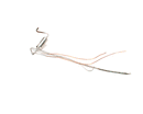 HOSHIZAKI 3X6438G01