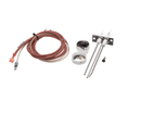 HOT ROCKS OVEN HR11-0028-A FLAME ROD AND CABLES
