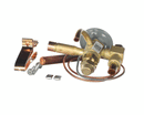 HEATCRAFT 29311836 EEV