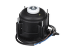 IFI 610050159