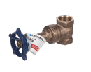 JACKSON 04820-100-19-00 VALVE; GATE 3/4NPT STEAM