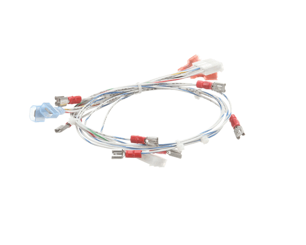 LANG 2E-XL-587-W1 HARNESS 24V/CTL SLT-OVERTEMP