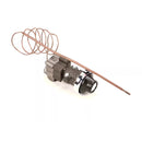 LOWTEMP INDUSTRIES 190700 THERMOSTAT GAS(BJWA)