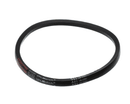 LOREN COOK 112021 BELT