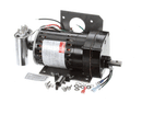 MARKET FORGE 98-3675 KIT REPL MOTOR ASSEMBLY SKT KETL