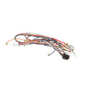 MANITOWOC 000007752 HARNESS CNTRL BOX 230V/6 0HZ