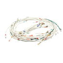 VULCAN VH00-944400-00048 WIRING KIT - 48 IN ALL VOLTAG