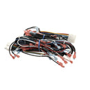 VULCAN VH00-856744-00001 HARNESS WIRING BASIC C2 4EA