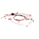 VULCAN 424198-G1 WIRE SET ASSEMBLY