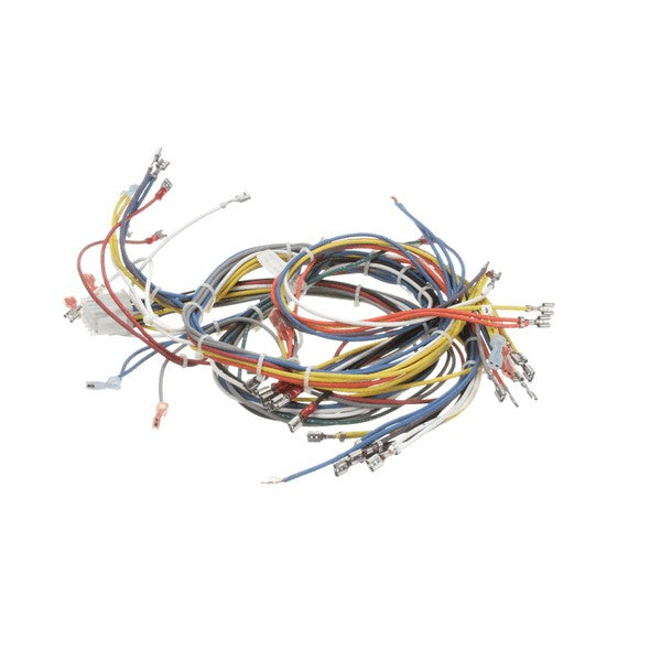 BLODGETT 20018 HARNESS WIRING INF 2SP