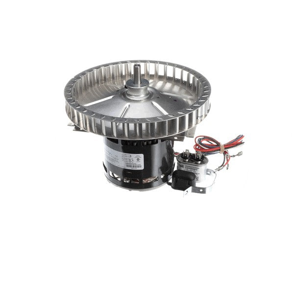 STAR 250-2008 MOTOR 1/4HP9CAGE
