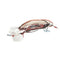 PITCO B6723701 WRG FR PANEL PG14D