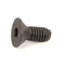 BLODGETT 4832 SCREW CAP 5/16-18X3/4HE ATTRHX