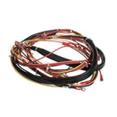 GROEN 123779 HARNESS WIRING-KETTLE C ONTROL